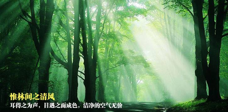 五一去杭州怎么樣？杭州千島湖五一游玩攻略